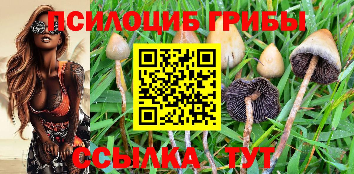 Псилоцибиновые грибы прущие грибы Губкинский