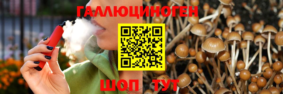 Галлюциногенные грибы прущие грибы  Галлюциногенные грибы мухоморы  Вход с VPN  Губкинский 