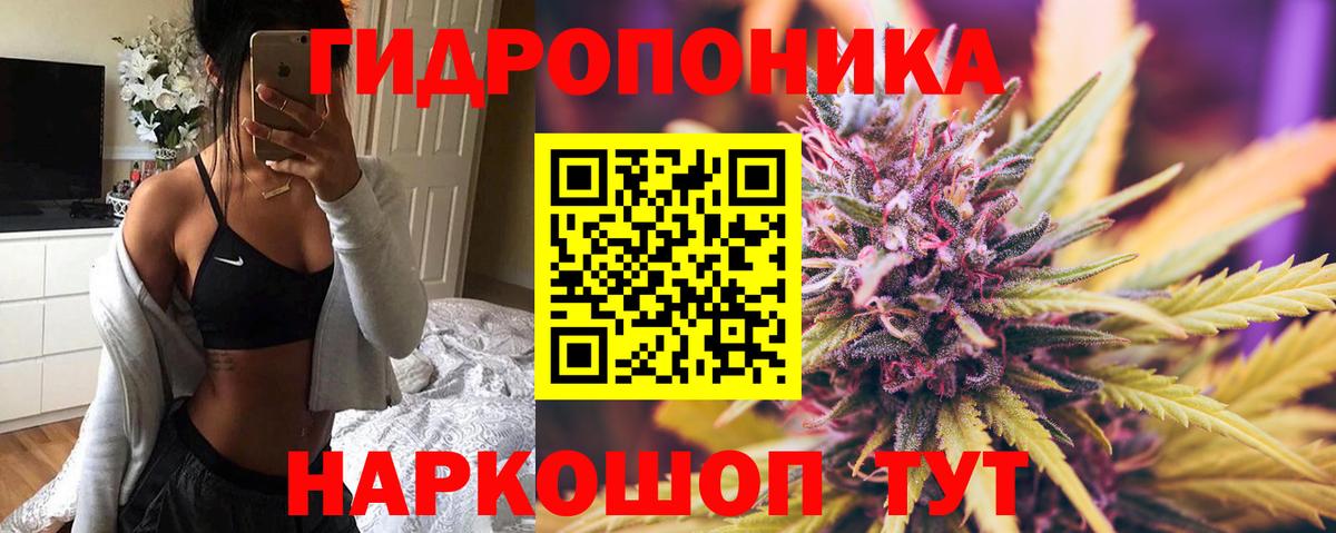 Губкинский  Каннабис Bruce Banner  Шишки марихуана THC 21%  Бошки Шишки сатива  Вход с VPN 